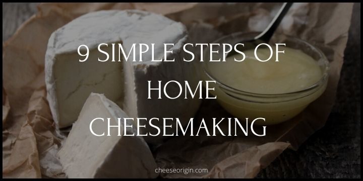 9 Simple Steps of home Cheesemaking - Cheese Origin