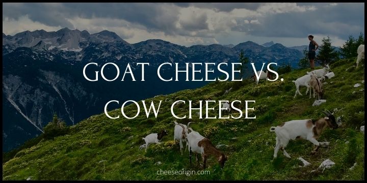 Goat Cheese vs. Cow Cheese (THE DIFFERENCES) - Cheese Origin (UPDATED)
