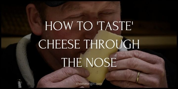 How to 'Taste' Cheese Through the Nose - Cheese Origin (UPDATED)