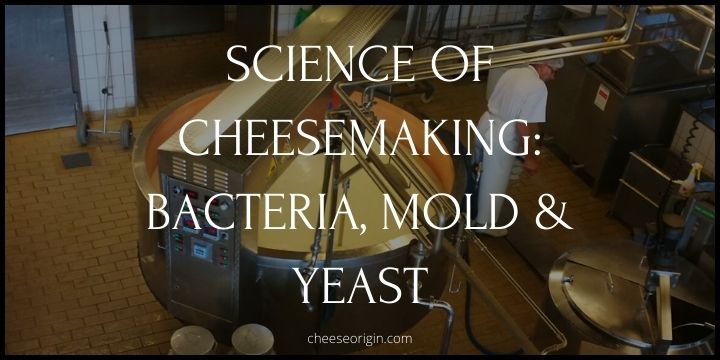 Science of Cheesemaking: Bacteria, Mold & Yeast
