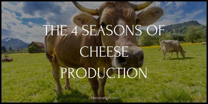 The 4 Seasons of Cheese Production - Cheese Origin (UPDATED)