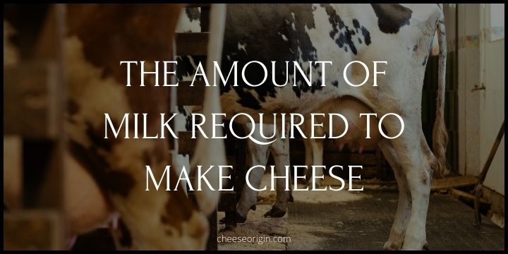The Amount of Milk Required to Make Cheese - Cheese Origin (UPDATED)