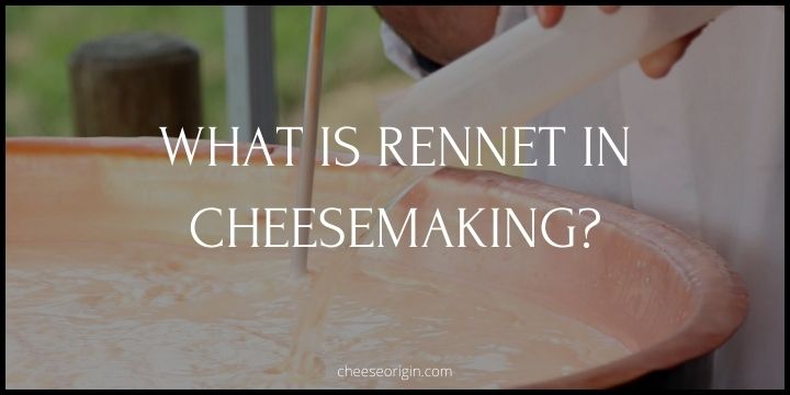 What is Rennet in Cheesemaking? - Cheese Origin (UPDATED)