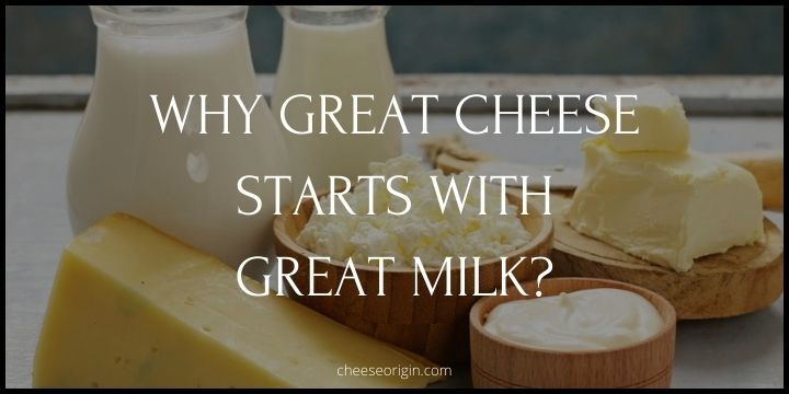Why Great Cheese Starts With Great Milk? - Cheese Origin