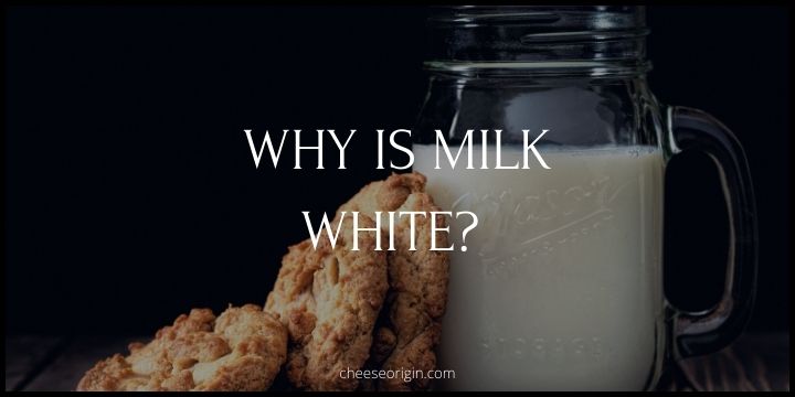 Why is Milk White? - Cheese Origin (EDITED)