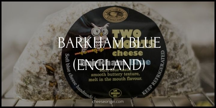 Barkham Blue (ENGLAND) - Cheese Origin