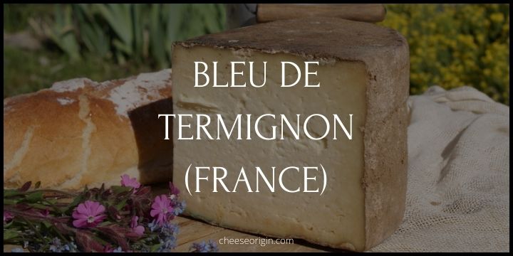 What is Bleu de Termignon? A Rare French Delight from the Alps