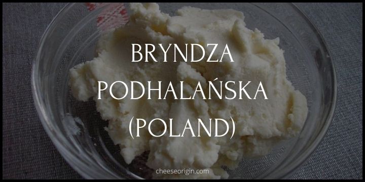What is Bryndza Podhalańska? Poland’s Iconic Sheep’s Milk Cheese