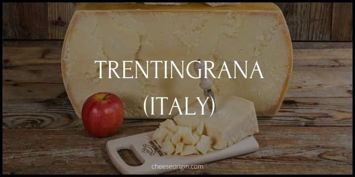 What is Trentingrana? Italy’s Mountainous Cheese Marvel