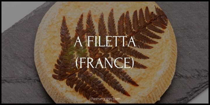 A Filetta (FRANCE) - Cheese Origin