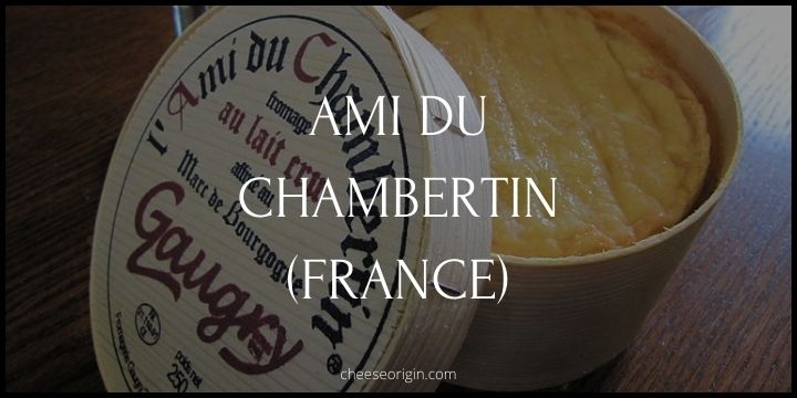 Ami du Chambertin (FRANCE) - Cheese Origin
