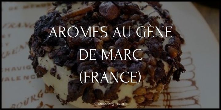 Arômes au Gène de Marc (FRANCE) - Cheese Origin