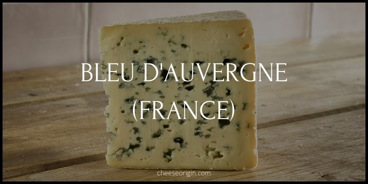 Bleu d'Auvergne (FRANCE) - Cheese Origin