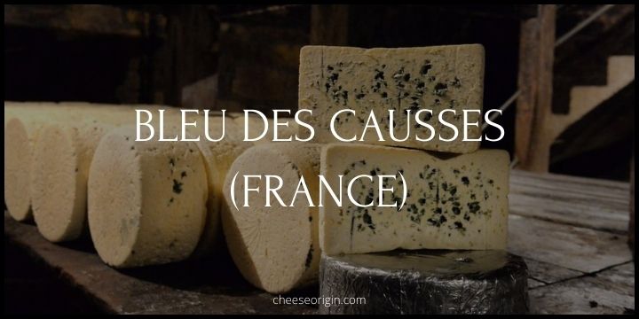 Bleu des Causses (FRANCE) - Cheese Origin