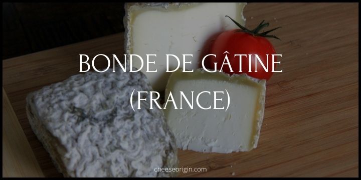 Bonde de Gâtine (FRANCE) - Cheese Origin