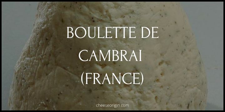 Boulette de Cambrai (FRANCE) - CheeseBoulette de Cambrai (FRANCE) - Cheese Origin Origin