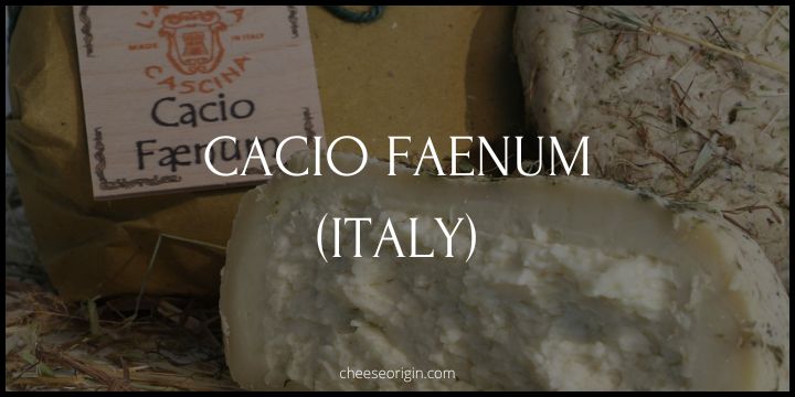 Cacio Faenum (ITALY) - Cheese Origin