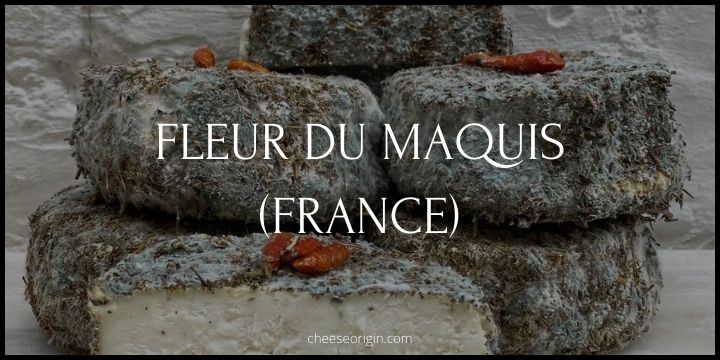 Fleur du Maquis (FRANCE) - Cheese Origin