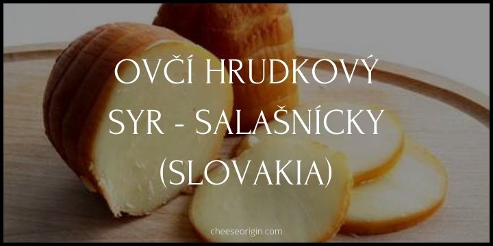 Ovčí Hrudkový Syr - Salašnícky (SLOVAKIA) - Cheese Origin