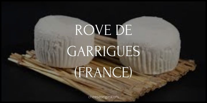 What is Rove de Garrigues? The Delicate Fresh Cheese from Provence