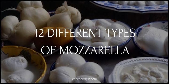12 Different Types of Mozzarella Featured Image - Cheese Origin