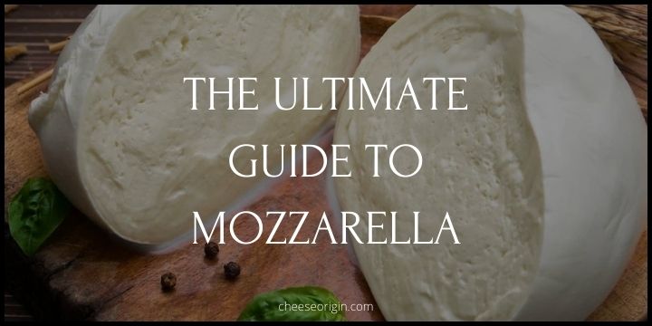 The Ultimate Guide to Mozzarella Featured Image - CheeseOrigin.com