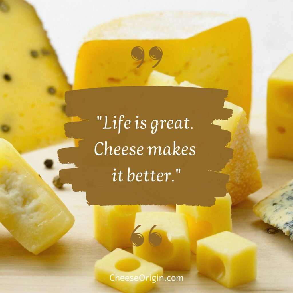 "Life is great.  Cheese makes  it better." - Cheese Origin