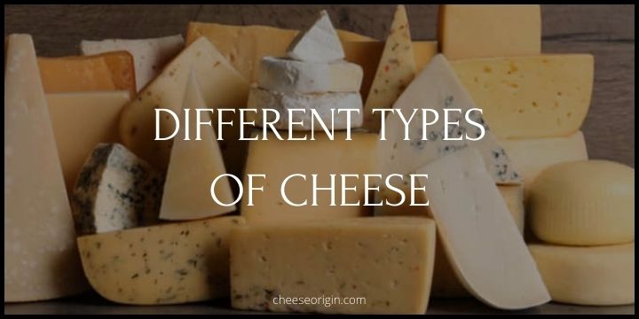 40 Different Types of Cheese: Most Popular Cheeses Around The Globe