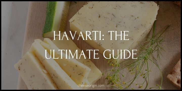 A Guide to Havarti - The Star Cheese of the Culinary World - Cheese Origin