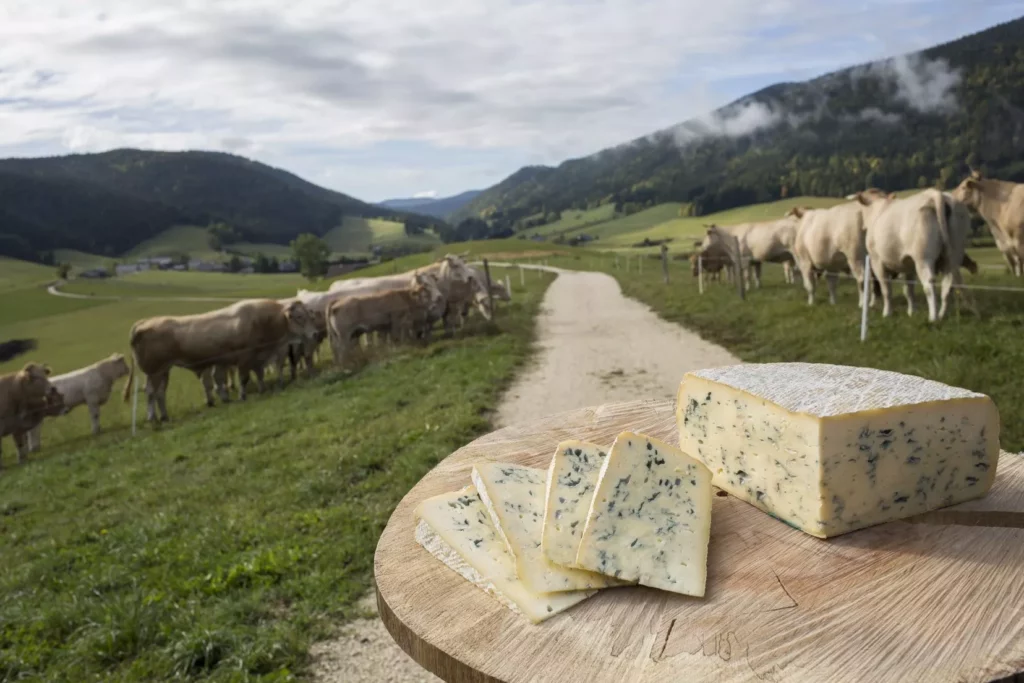 The Intriguing History and Origin of Bleu du Vercors-Sassenage: A Taste of Tradition