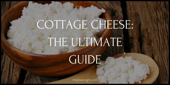 Cottage Cheese Uncovered - An Exciting Guide to Its Many Uses - Cheese Origin
