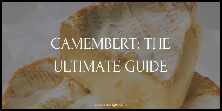 Discovering Camembert- A Cheese Lover's Guide - Cheese Origin