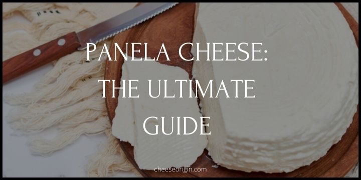 Discovering Panela- A Guide to Mexico's Versatile Cheese - Cheese Origin