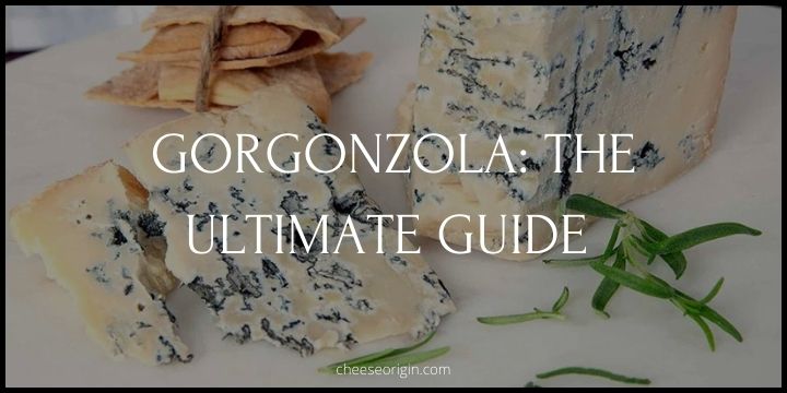 Gorgonzola- A Guide to Italy's Beloved Blue Cheese - Cheese Origin