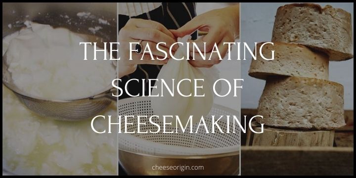 The Fascinating Science of Cheesemaking Featured Image - CheeseOrigin.com