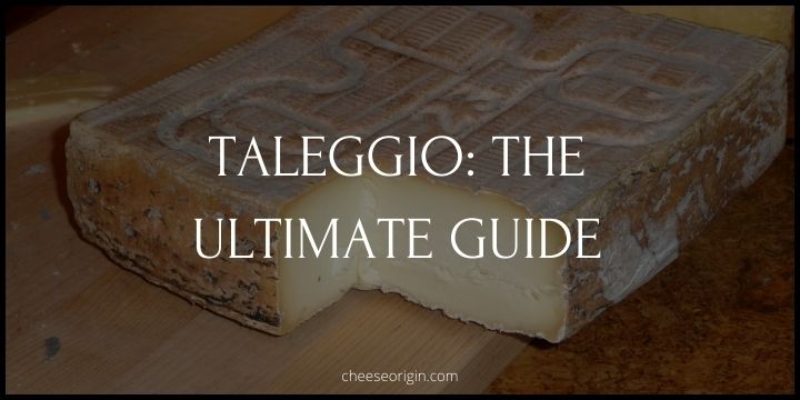 The Tale of Taleggio - Unveiling Italy's Pungent Treasure - Cheese Origin