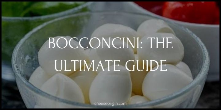 What is Bocconcini? The Soft, Spongy Italian Delight
