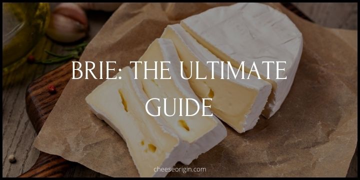 The Ultimate Guide to Brie- More Than Just a Cheese - Cheese Origin