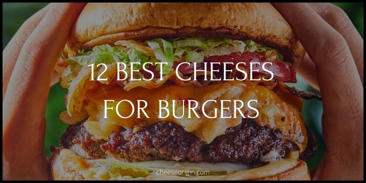 Top 12 Best Cheeses for Burgers Featured Image - CheeseOrigin.com