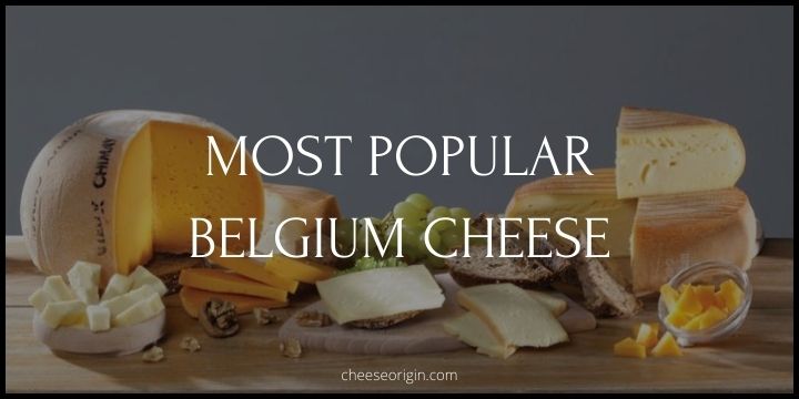 8 Most Popular Cheeses Originated in Belgium