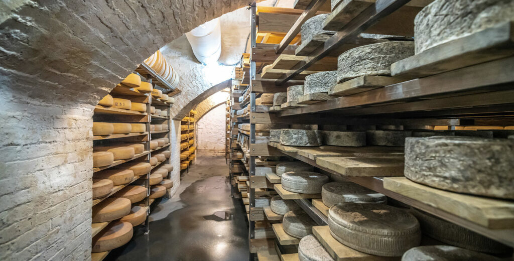 What Are Cheese Caves?
