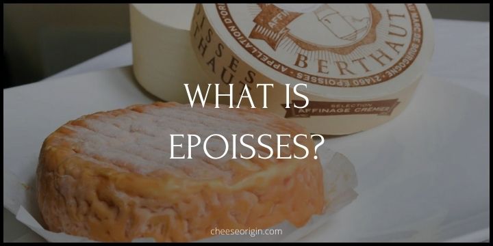 What is Epoisses? The Pungent Pride of Burgundy - Cheese Origin (EDITED)