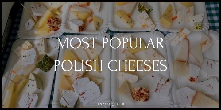 10 Most Popular Cheeses Originated in Poland