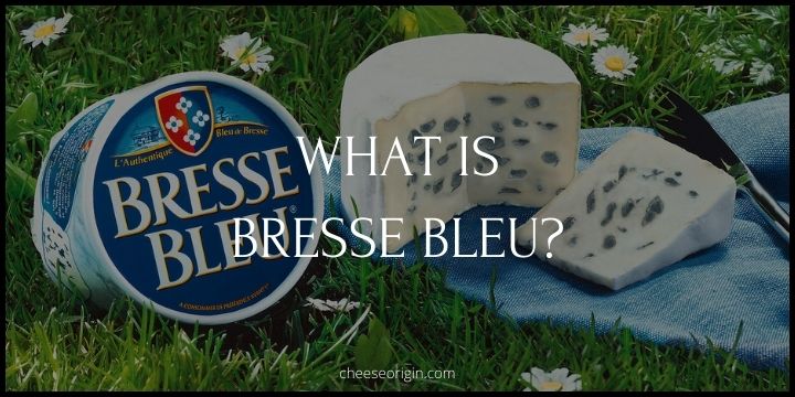 What is Bresse Bleu? The Gentle Blue Cheese from France - Cheese Origin