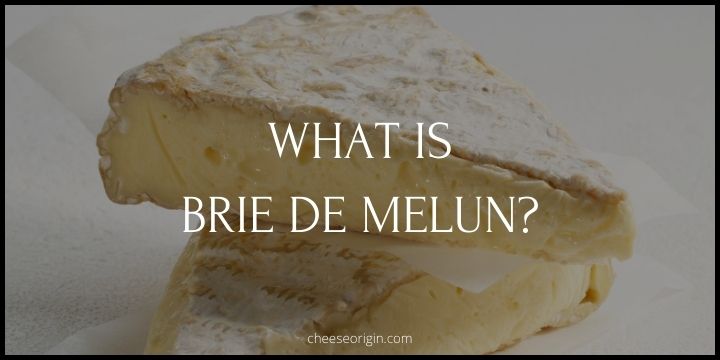 What is Brie de Melun? An Ancestor of All Bries