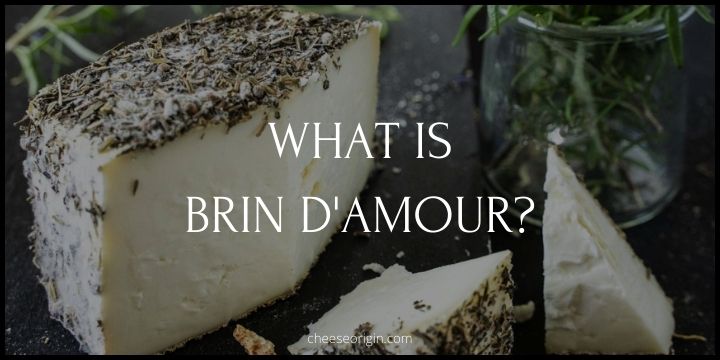 What is Brin d'Amour? The Corsican Cheese Delight - Cheese Origin