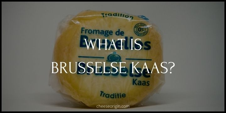 What is Brusselse Kaas? Belgium’s Unique Cheese