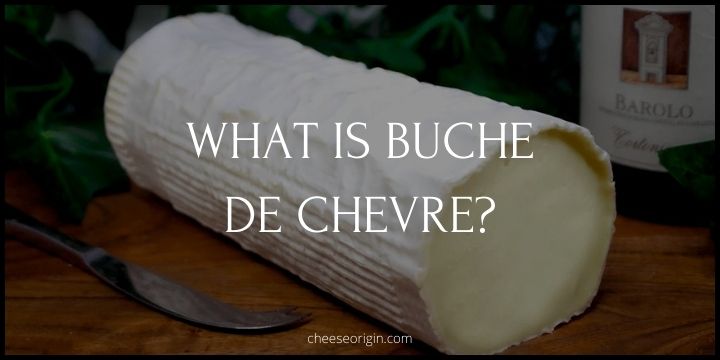 What is Buche de Chevre? A French Culinary Treasure - Cheese Origin