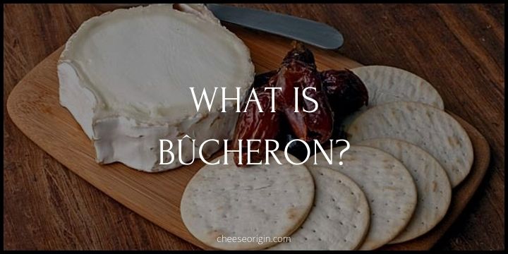 What is Bûcheron? France’s Versatile Goat Cheese