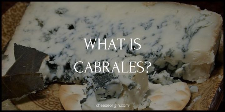 What is Cabrales? Spain's Artisan Blue Cheese Delight - Cheese Origin